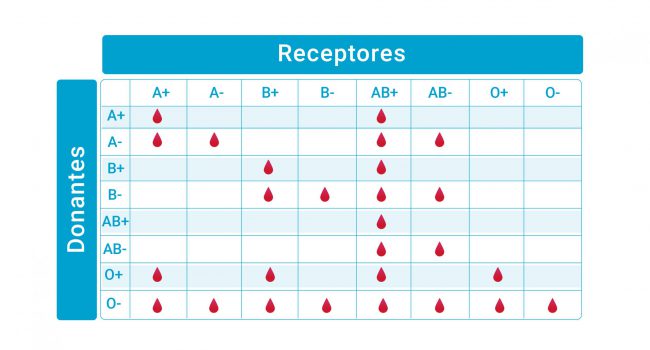 Infografia-03